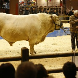 Foto da galeria do filme