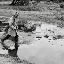 Foto da galeria do filme