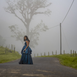 Foto da galeria do filme