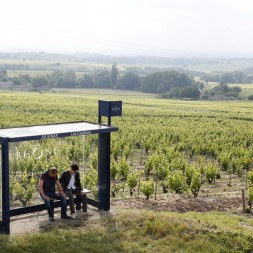 Foto da galeria do filme