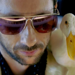 Foto da galeria do filme